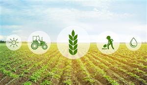 Agriculture 